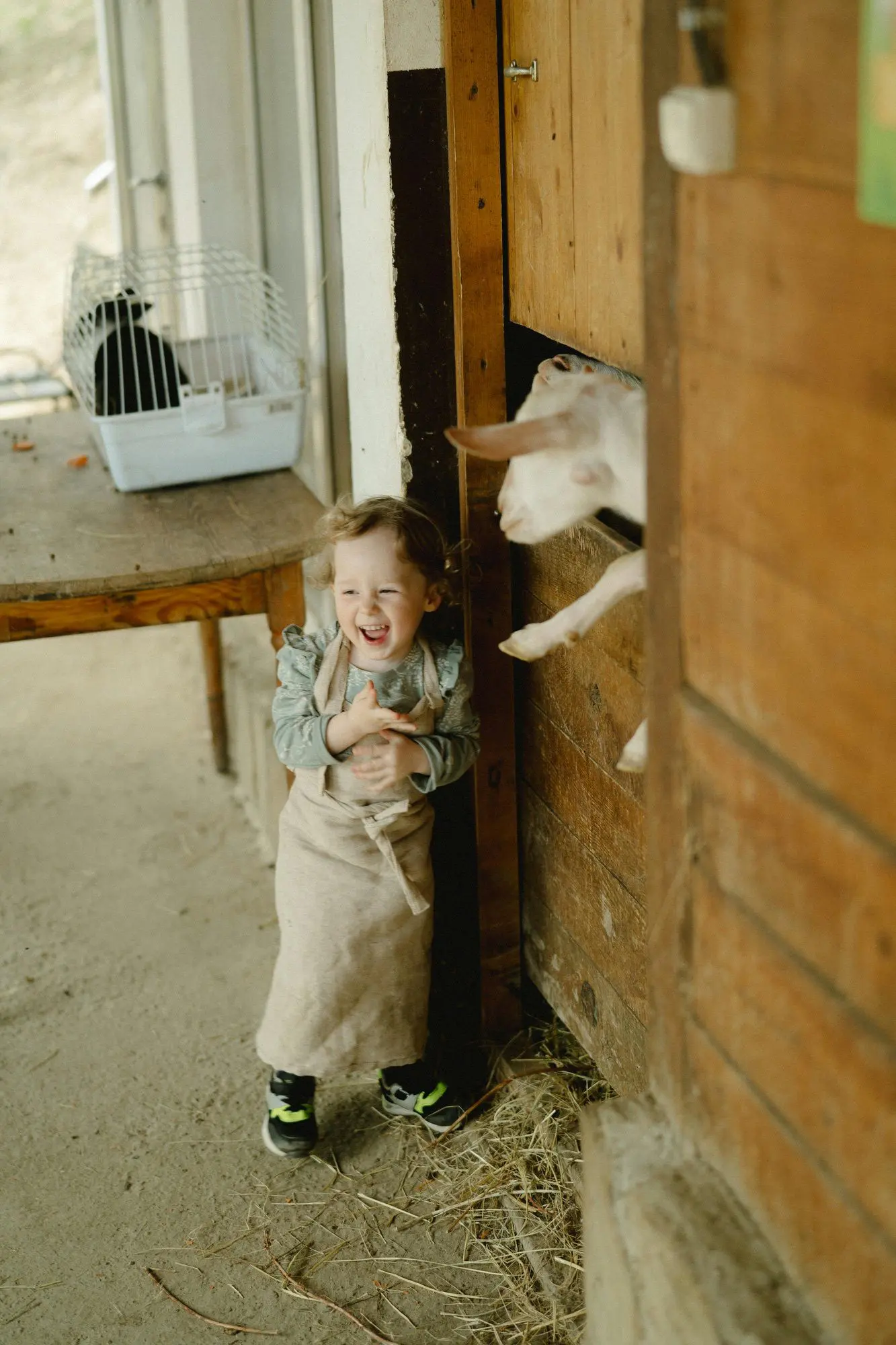 Best Days Out in Essex for Kids: Top 10 Family-Friendly Adventures