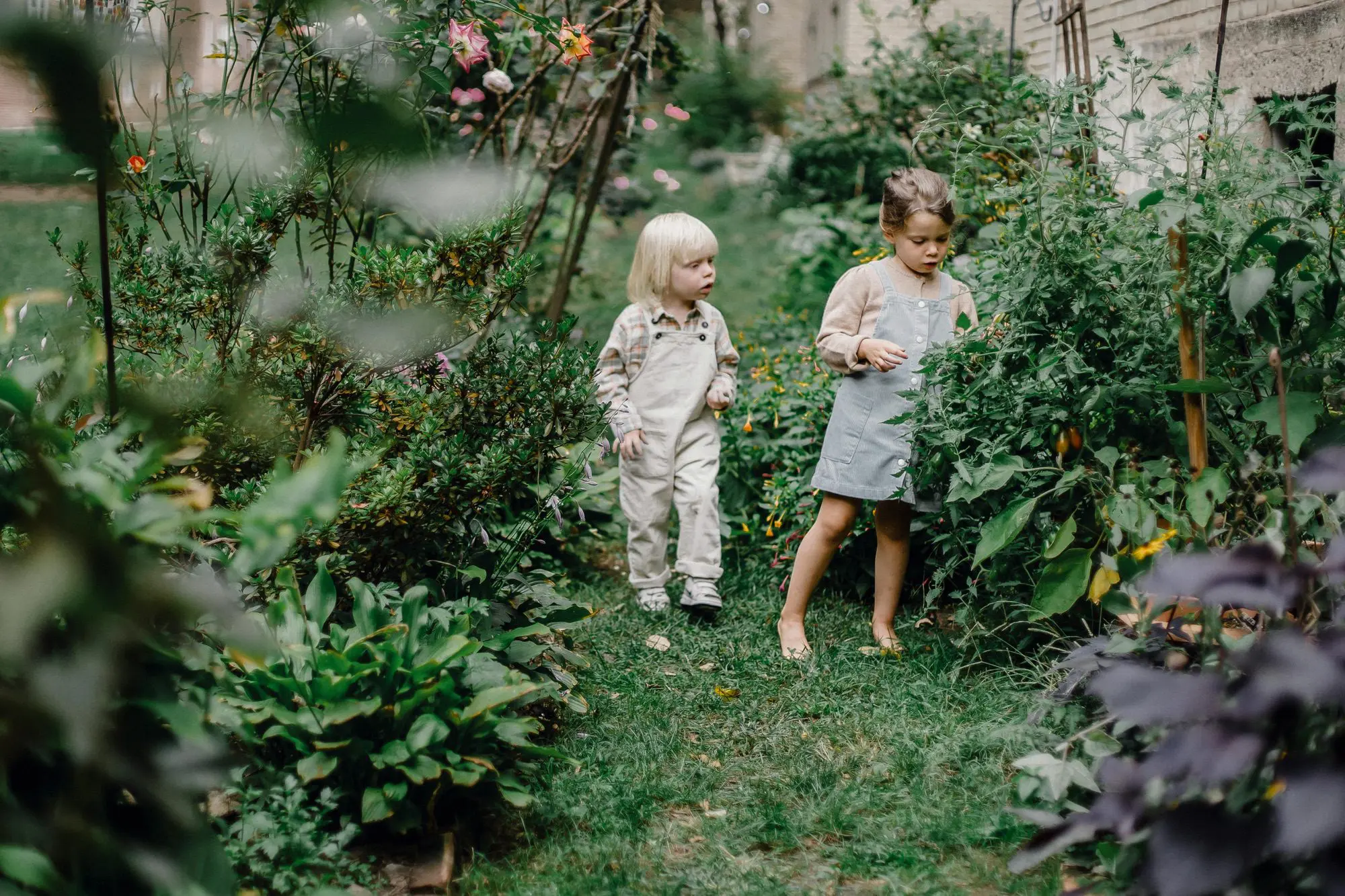 Beginner’s Garden Guide for Children: Easy Plants Kids Can Grow at Home