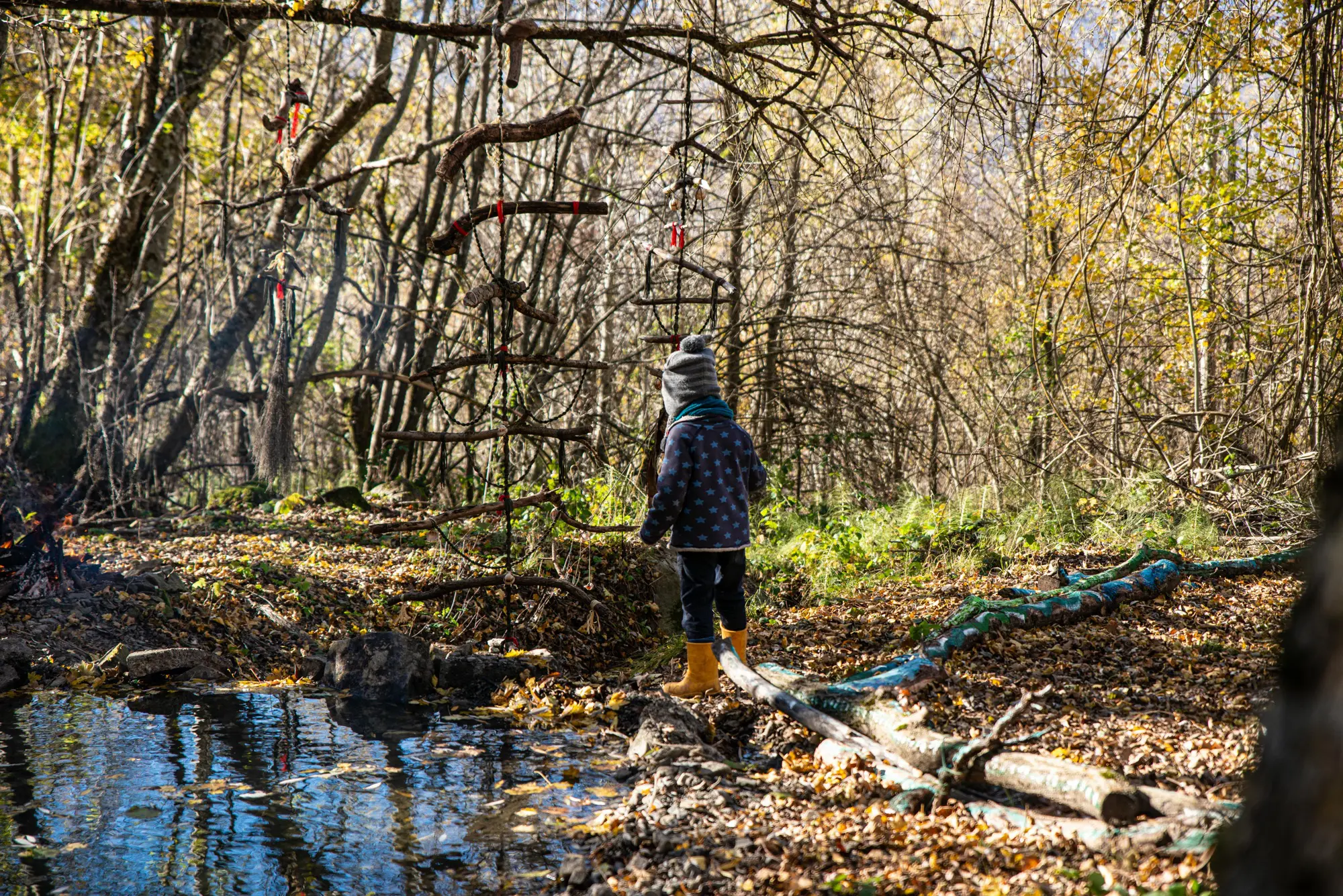 What Is Forest School? A Complete Guide to Outdoor Learning That’s Transforming Childhood